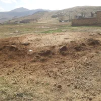 کود حیوانی|گل و گیاه طبیعی|صحنه, |دیوار