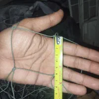 تور ماهیگیری شیر متری 190هزار تومان|ماهیگیری|مهر, |دیوار