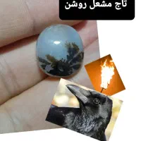 کلکسیون نگین شجرمصور معاوضه با انگشتر اوپال زبرجد|کلکسیون اشیاء عتیقه|زنجان, |دیوار