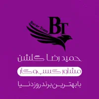 مشاور کسب وکار