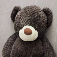 عروسک خرسی بزرگ .نو|اسباب‌بازی بچه|یزد, |دیوار