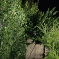 سیاخ خانه خمیس مجتمع گلاب دره|فروش خانه و ویلا|شیراز, محمودیه|دیوار