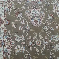 کناره گردویی