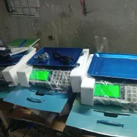 ترازو  دیجیتال zdf