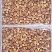 خرمای زاهدی درجه یک فقط تناژ