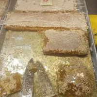 فروشندگی در نمایشگاه سمنان