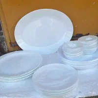 ارکوپال سفیدد