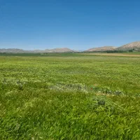 پلاکهای-باغشهر-در-ملوسجان