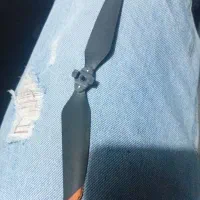 ملخ مویک ایر