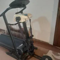 تجهیزات ورزشیف|تجهیزات ورزشی|مرودشت, گندم‎|دیوار