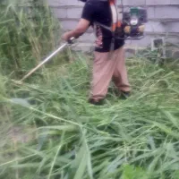 باغبانی صفر تا صد