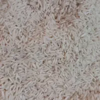 برنج سالم