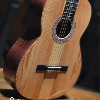 گیتار آگرین با دوسال گارانتی|گیتار، بیس، امپلیفایر|اصفهان, درب کوشک|دیوار