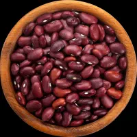 لوبیای قرمز بذری