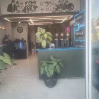 باریستا و نیروی ساده