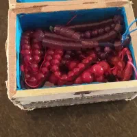 ۱۰ عدد تسبیح سندلوس و کهربا عمده