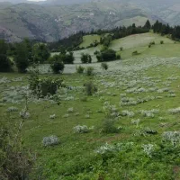 9505-زمین-کشاورزی