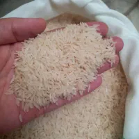 برنج نیم دانه وسرلاشه  هاشمی اعلاوبرنج درشت هاشمی|خوردنی و آشامیدنی|الوند, |دیوار