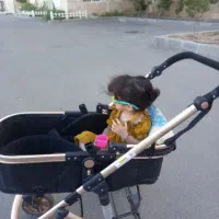 کالسکه ساک مادر کریر انگلیسی مارک مادر کر