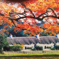 پرده کرکره و پرده طرح منظره پاییزی|پرده، رانر، رومیزی|فولادشهر, A3|دیوار