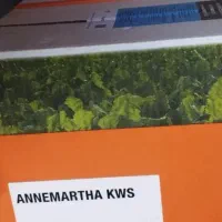 بذر چغندر انامارتا با ارسلینا زیر قیمت