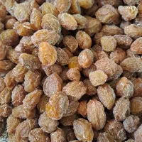 آلو خوانساری محل....