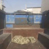 نیسان کمپرسی ۸۱ سالم|خودرو سواری و وانت|برازجان, |دیوار