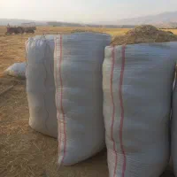 تعدا۳۰۰ شلیف کاه تمیز بفروش میرسد