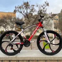 دوچرخ24.26 رالیچ