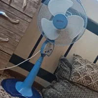 پنکه