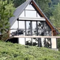 استخدام نیروی خدماتی