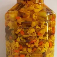 خیارشور ترشی آبغوره ناردونه مویز انجیر|خوردنی و آشامیدنی|نورآباد ممسنی, |دیوار