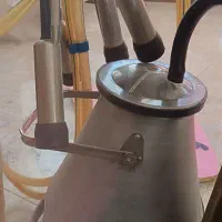 شیردوش.