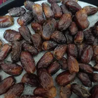فروش خرما