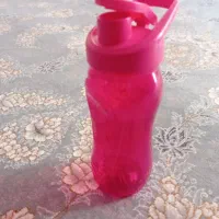 قمقمه و ظرف غذا|ظروف نگهدارنده، پلاستیکی، یک‌بارمصرف|زنجان, |دیوار