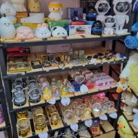 عروسک و اکسسوری خوشحالی فروشی|کلکسیون و سرگرمی|سمنان, |دیوار