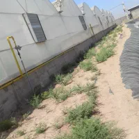 جوشکاری،لوله کشی گاز|خدمات پیشه و مهارت|پیشوا, |دیوار