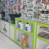 استخدام فروشنده خانم