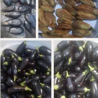 سبزی انواع سبزی و پیاز سرخ شده و بادمجان|خوردنی و آشامیدنی|رشت, نامجو|دیوار