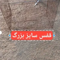 قفس|لوازم جانبی حیوانات|سوسنگرد, |دیوار