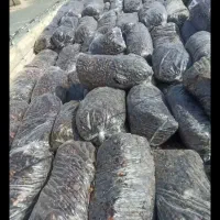 خریدار (پون) ضایعات خرما|خدمات پیشه و مهارت|سیب و سوران, |دیوار