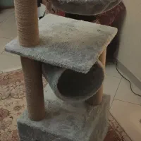 درخت و اسکرچر گربه|لوازم جانبی حیوانات|تهران, کوی بیمه|دیوار