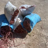 نخ پرس کارکرده، طناب جنس درجه یک|ابزارآلات|دهاقان, |دیوار