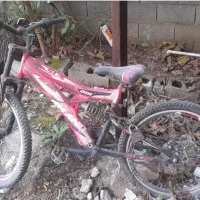 دوچرخه ۲۴ دنده ای