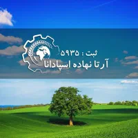 کارشناس دیجیتال مارکتینگ و تولید محتوا