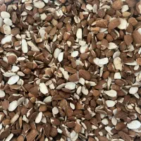 مغز بادام شکسته و مغز بادام  تلخ/ خرید بی واسطه