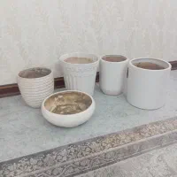 تعدادی گلدان خالی و سالم