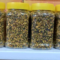 گرده گل