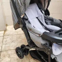 کالسکه دلیجان|کالسکه و لوازم جانبی|رشت, فلسطین|دیوار