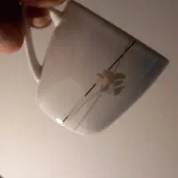 سرویس چینی بن چاین المان برندconix